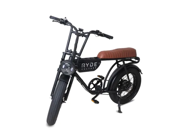 EBIKE RYDE CULTURE 20X4" VINTAGE 2