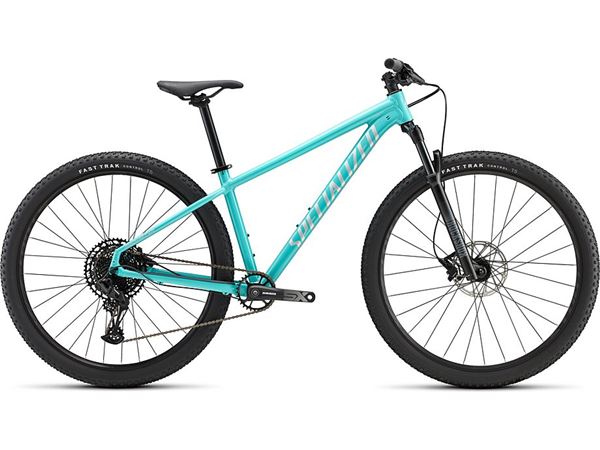 SPECIALIZED ROCKHOPPER EXPERT 29 L LGNBLU/LTSI