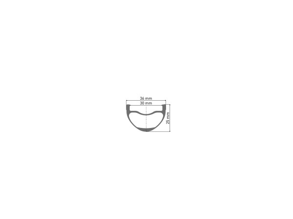 RUEDA DT SWISS XCR 1501 SPLINE ONE 30 15/110 2